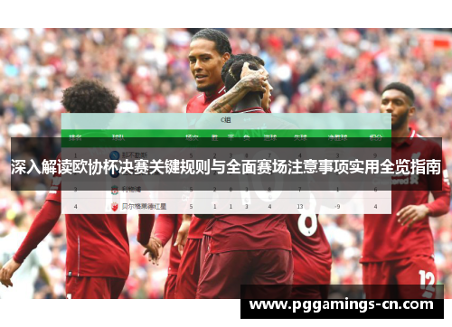 深入解读欧协杯决赛关键规则与全面赛场注意事项实用全览指南