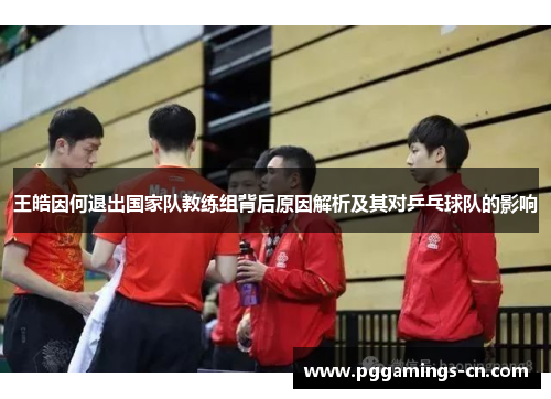 王皓因何退出国家队教练组背后原因解析及其对乒乓球队的影响