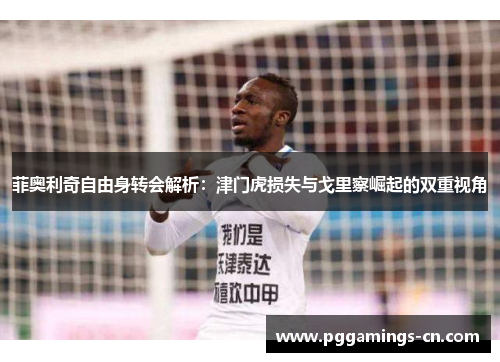 菲奥利奇自由身转会解析:津门虎损失与戈里察崛起的双重视角 菲奥利奇自由身转会解析:津门虎损失与戈里察崛起的双重视角