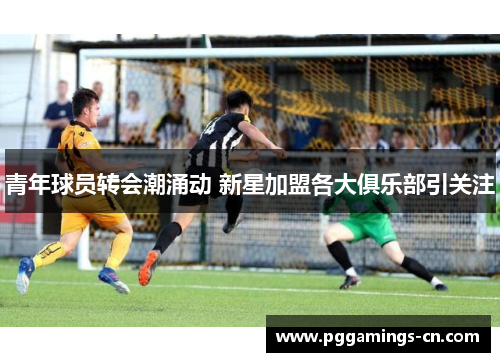青年球员转会潮涌动 新星加盟各大俱乐部引关注 青年球员转会潮涌动 新星加盟各大俱乐部引关注